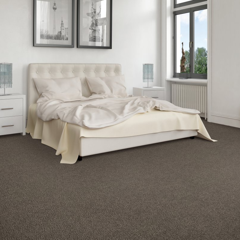 Xtreme Wholesale and Home Improvements providing stain-resistant pet proof carpet in Madison, IN Exciting Selection I - dreamy